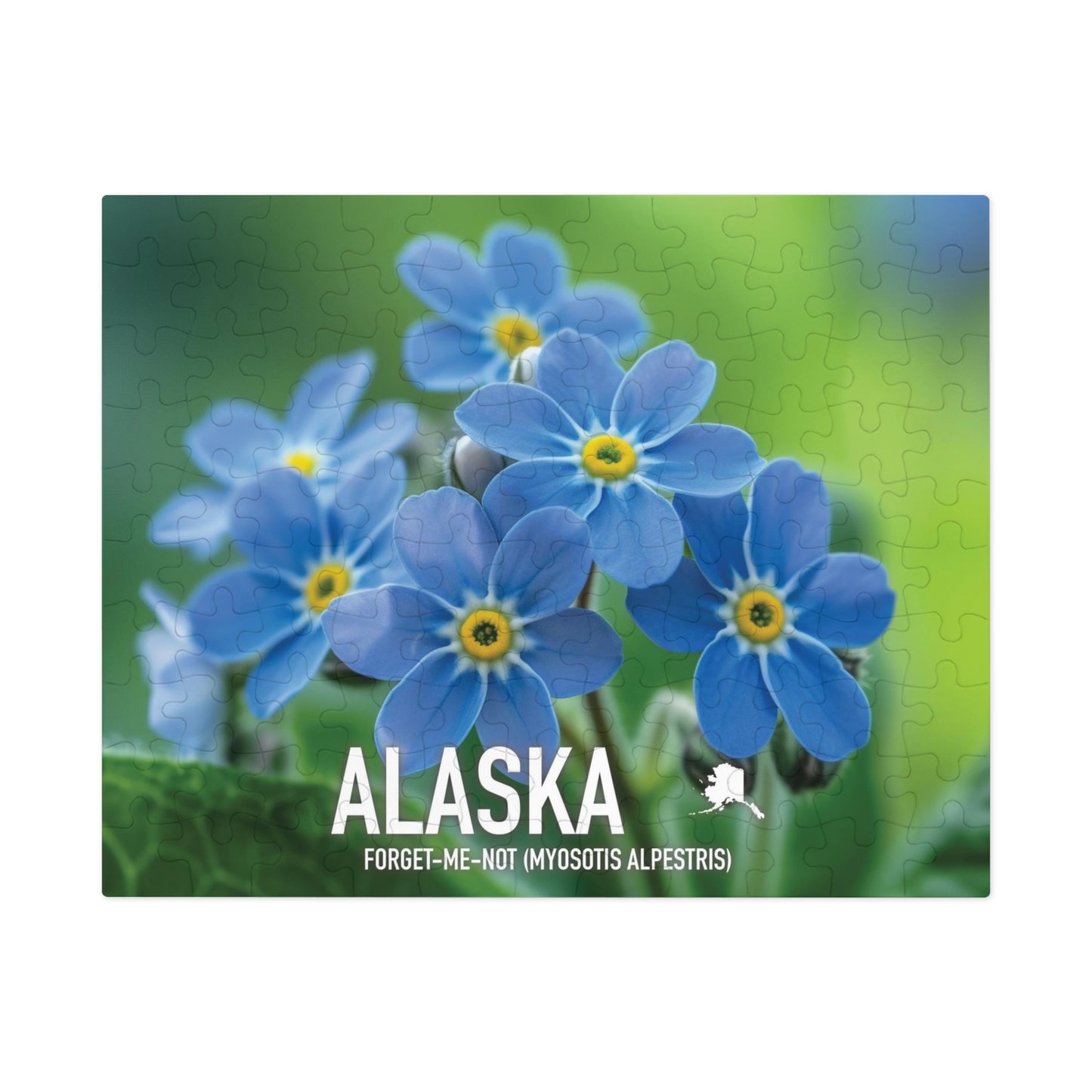State Flower of Alaska Forget-Me-Not Jigsaw Puzzle Collection - 110 to 1000 Pieces! Metal Box