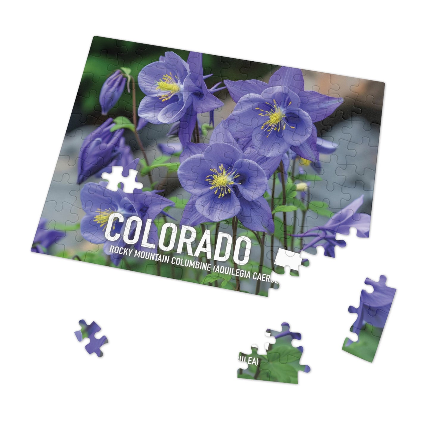 Colorado State Flower Columbine Jigsaw, 110-1000pc Puzzles, Nature-Themed Metal Box