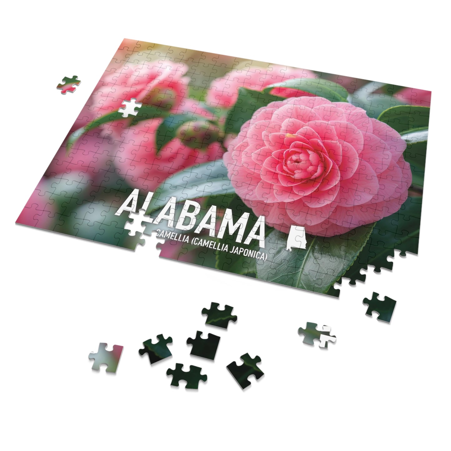 Vibrant Alabama State Flower Camellia Jigsaw Puzzle Set - 110 to 1000 pcs, Metal Box