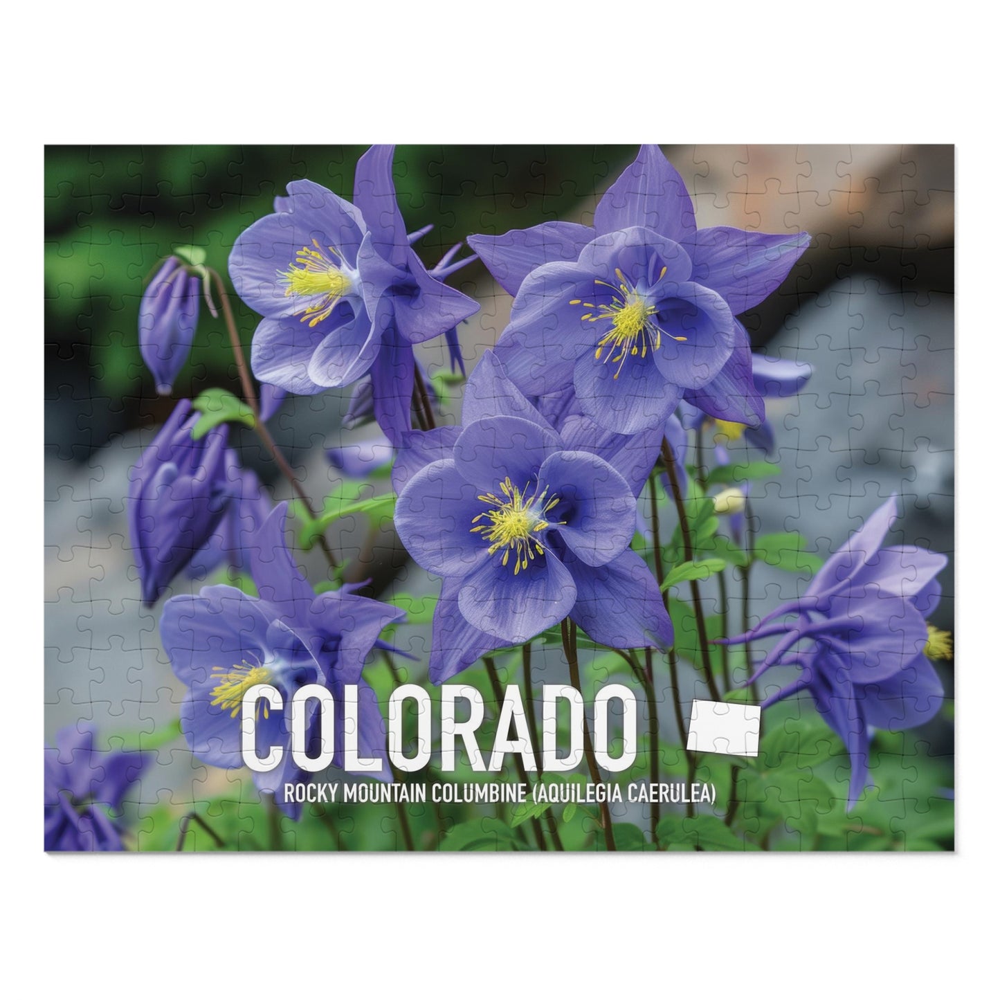 Colorado State Flower Columbine Jigsaw, 110-1000pc Puzzles, Nature-Themed Metal Box