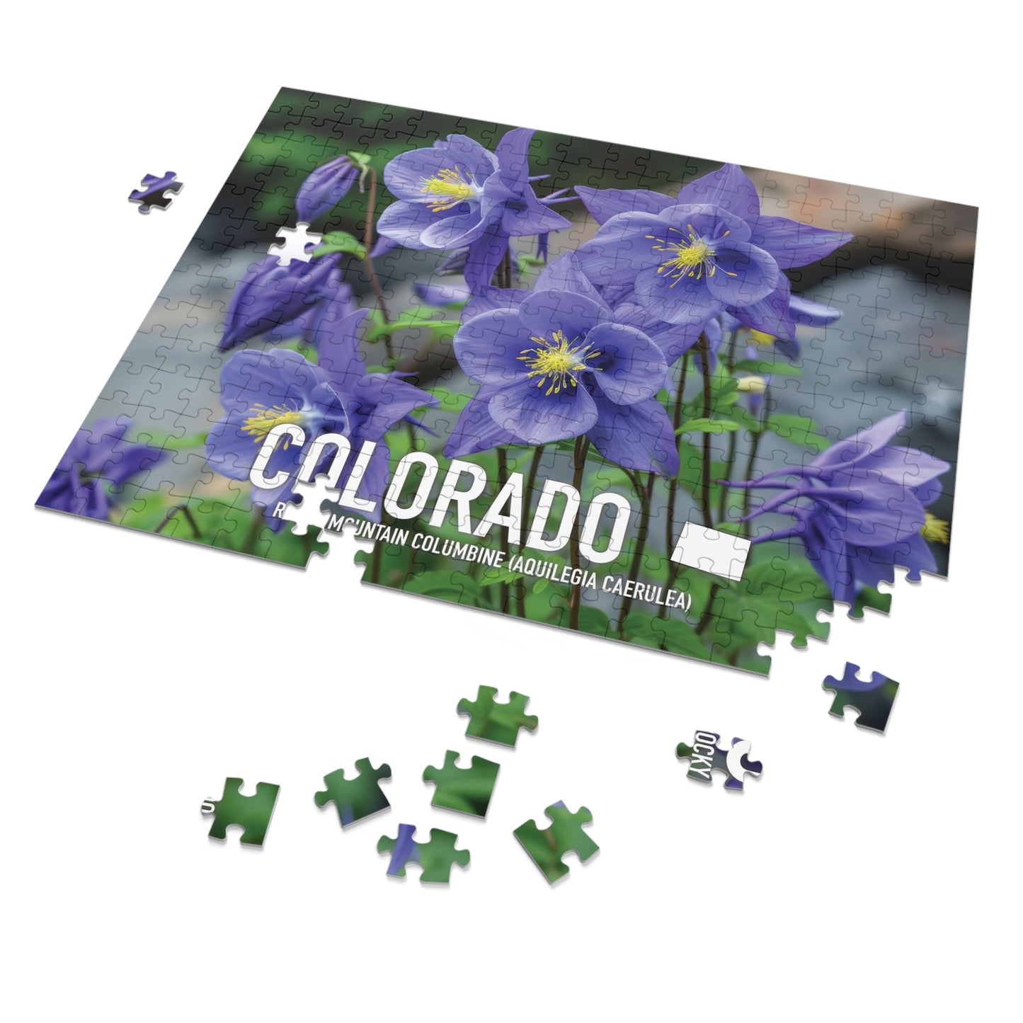 Colorado State Flower Columbine Jigsaw, 110-1000pc Puzzles, Nature-Themed Metal Box