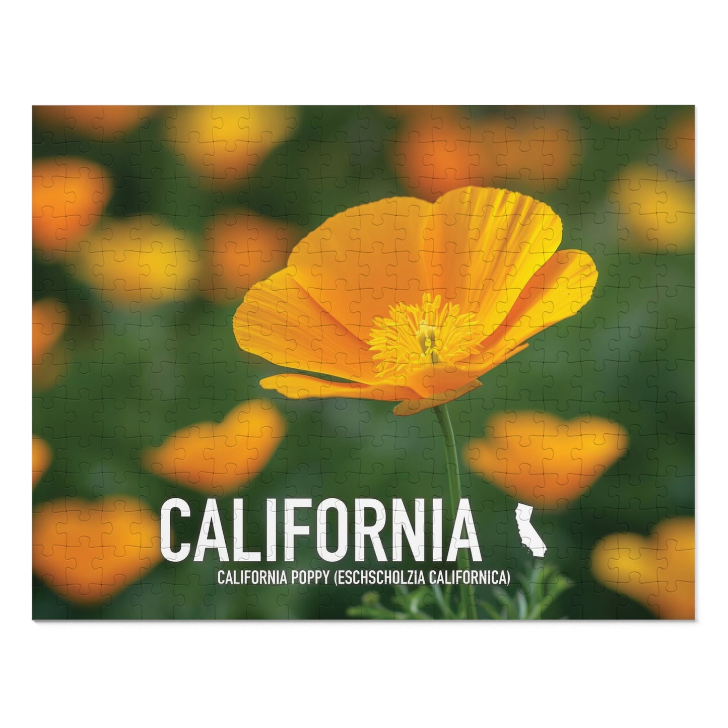 California State Flower Poppy Jigsaw Puzzle, 110-1000 pcs, Vibrant Metal Box Set