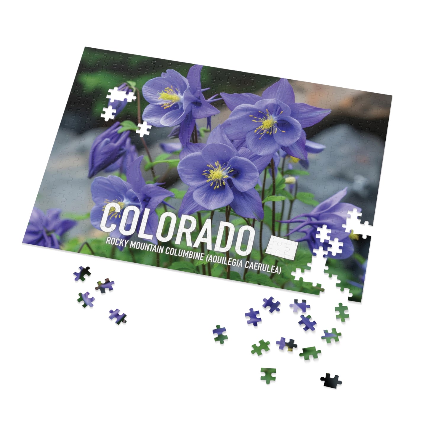 Colorado State Flower Columbine Jigsaw, 110-1000pc Puzzles, Nature-Themed Metal Box