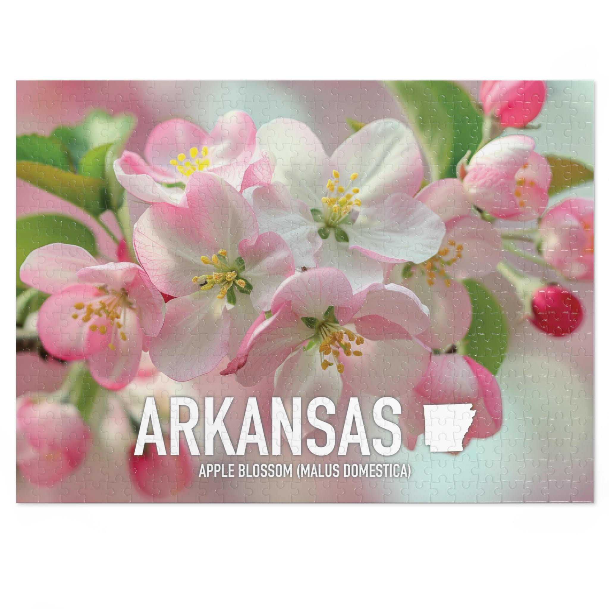 Amazon.com: One Standalone Cherry Blossom Sakura Flower in