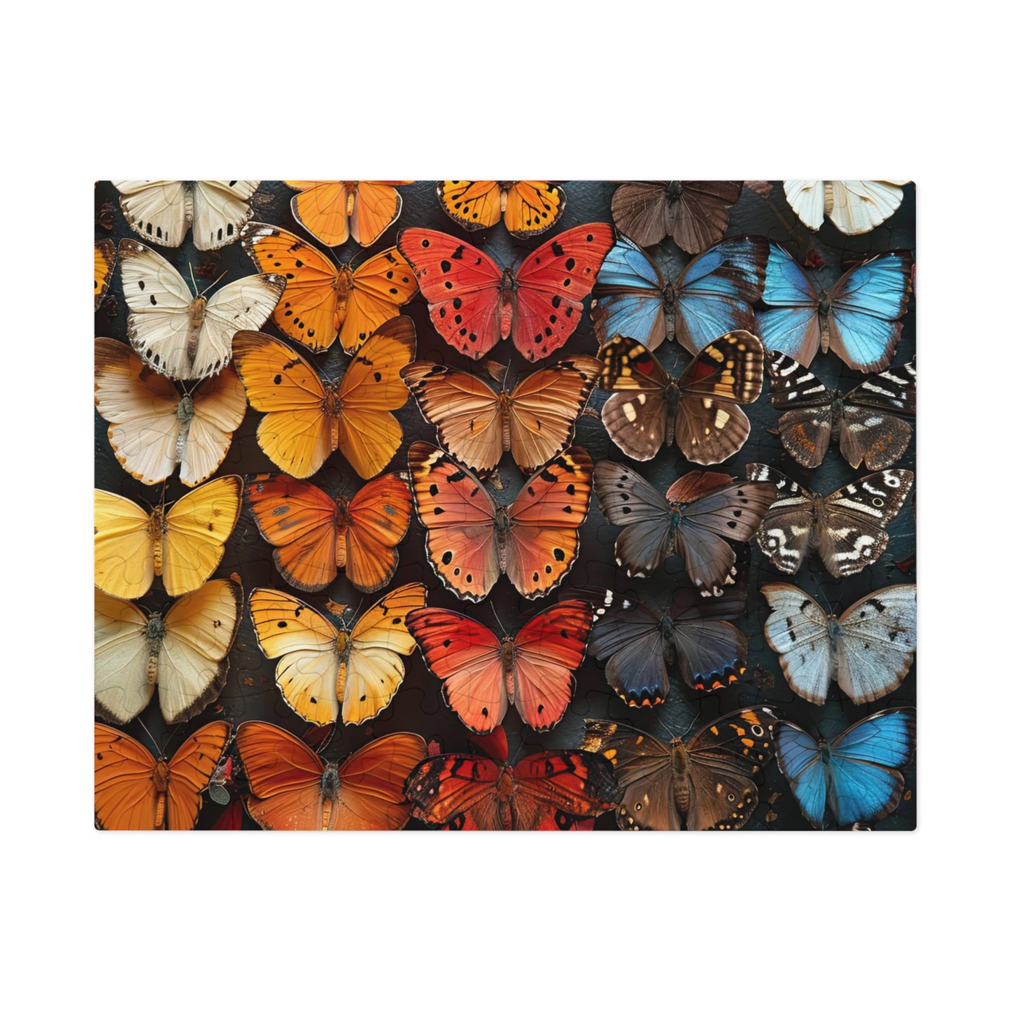 Kaleidoscope of Vibrant Butterflies Puzzles - 110-1000 Pieces for Nature Lovers & Puzzle Fans!" Metal Box