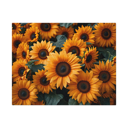 Sunflower Field Puzzle - Bright 110-1000 Piece Sets for Nature Lovers & Puzzle Fans! Metal Box