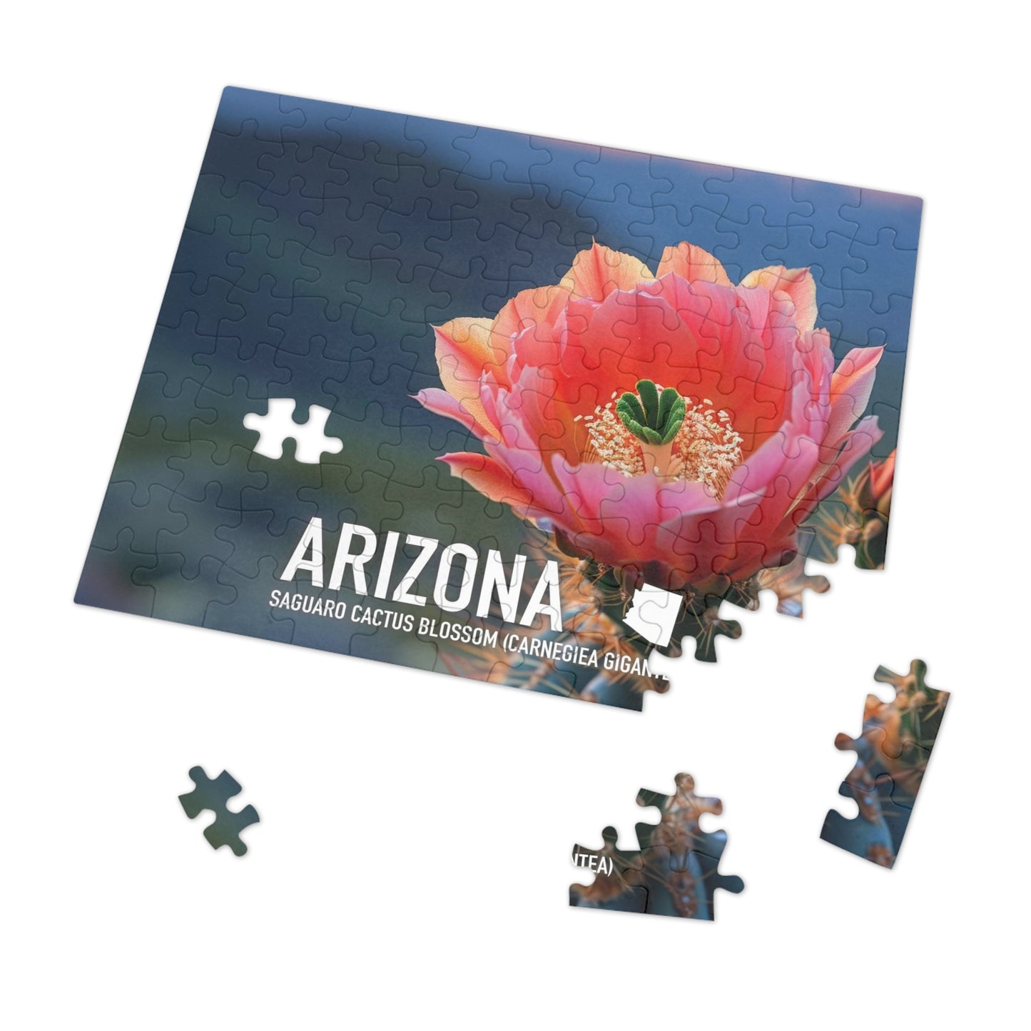 State Flower of Arizona Saguaro Cactus Blossom Puzzle - Shipped in Metal Box