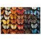 Kaleidoscope of Vibrant Butterflies Puzzles - 110-1000 Pieces for Nature Lovers & Puzzle Fans!" Metal Box