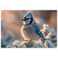 Winter Blue Jay Puzzle - 110-1000 Piece Jigsaws of Snowy Bird Elegance, Metal Box