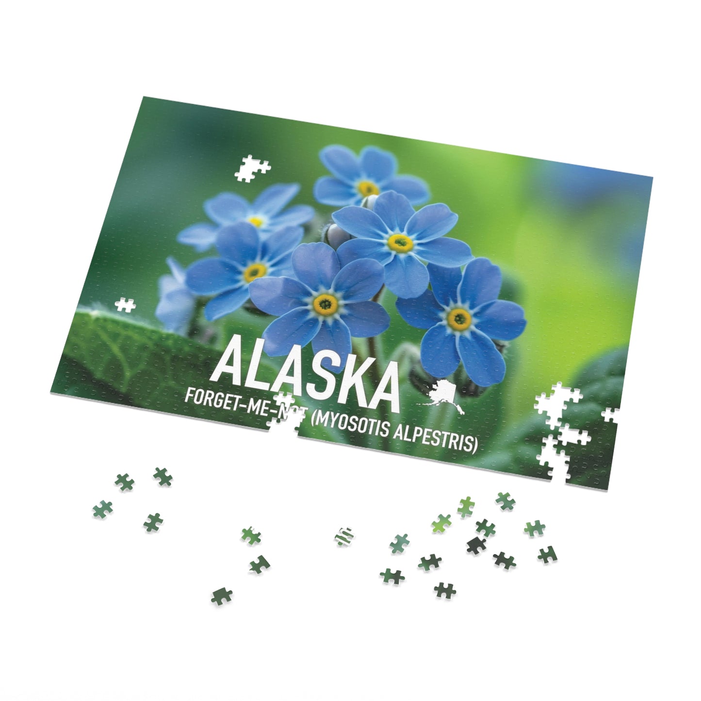 State Flower of Alaska Forget-Me-Not Jigsaw Puzzle Collection - 110 to 1000 Pieces! Metal Box