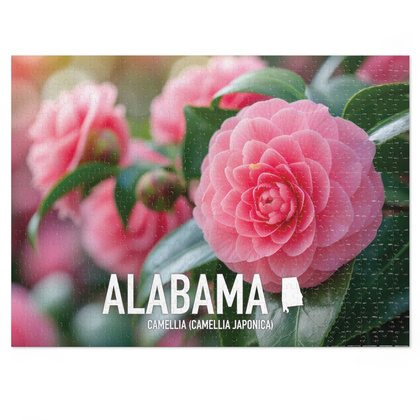 Vibrant Alabama State Flower Camellia Jigsaw Puzzle Set - 110 to 1000 pcs, Metal Box