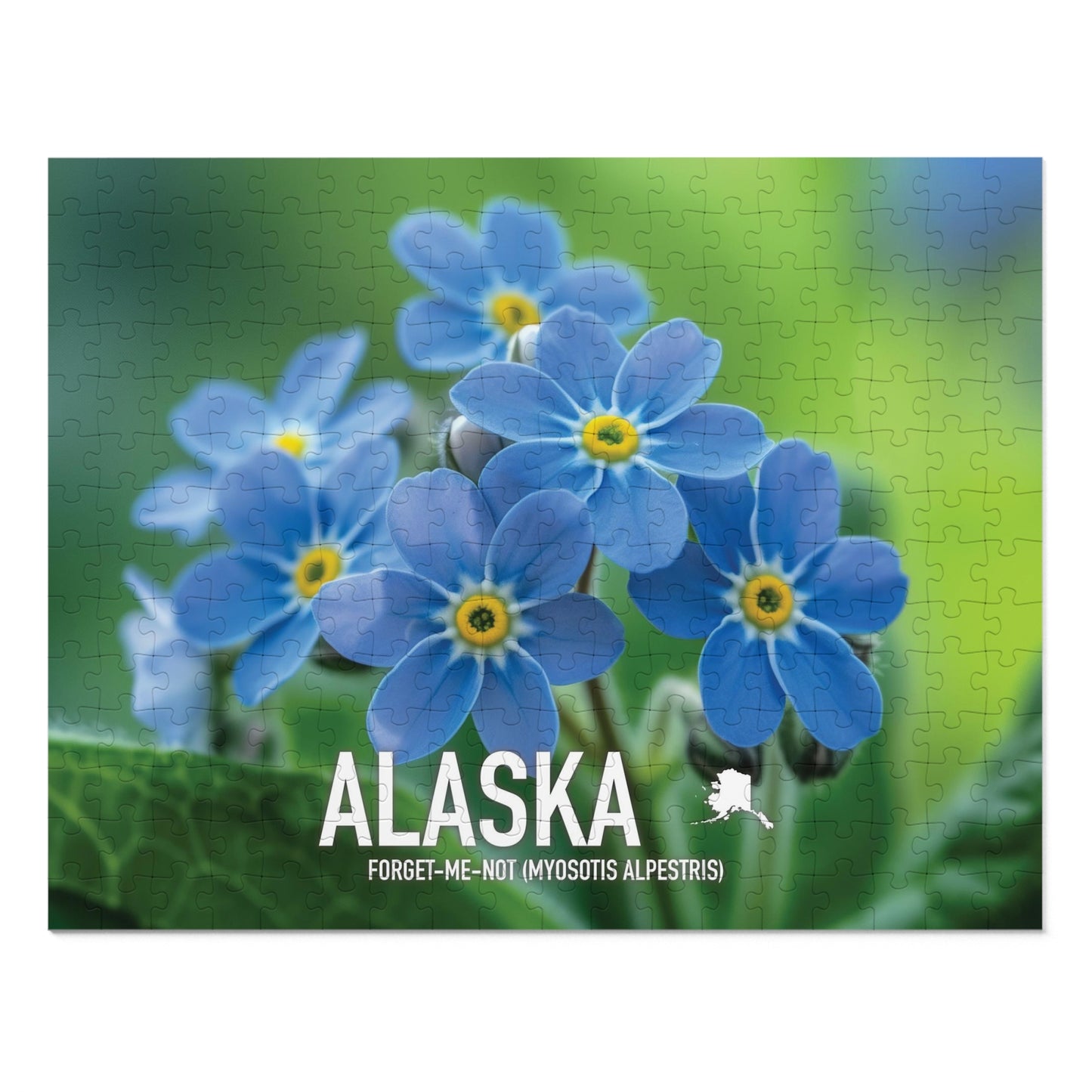 State Flower of Alaska Forget-Me-Not Jigsaw Puzzle Collection - 110 to 1000 Pieces! Metal Box