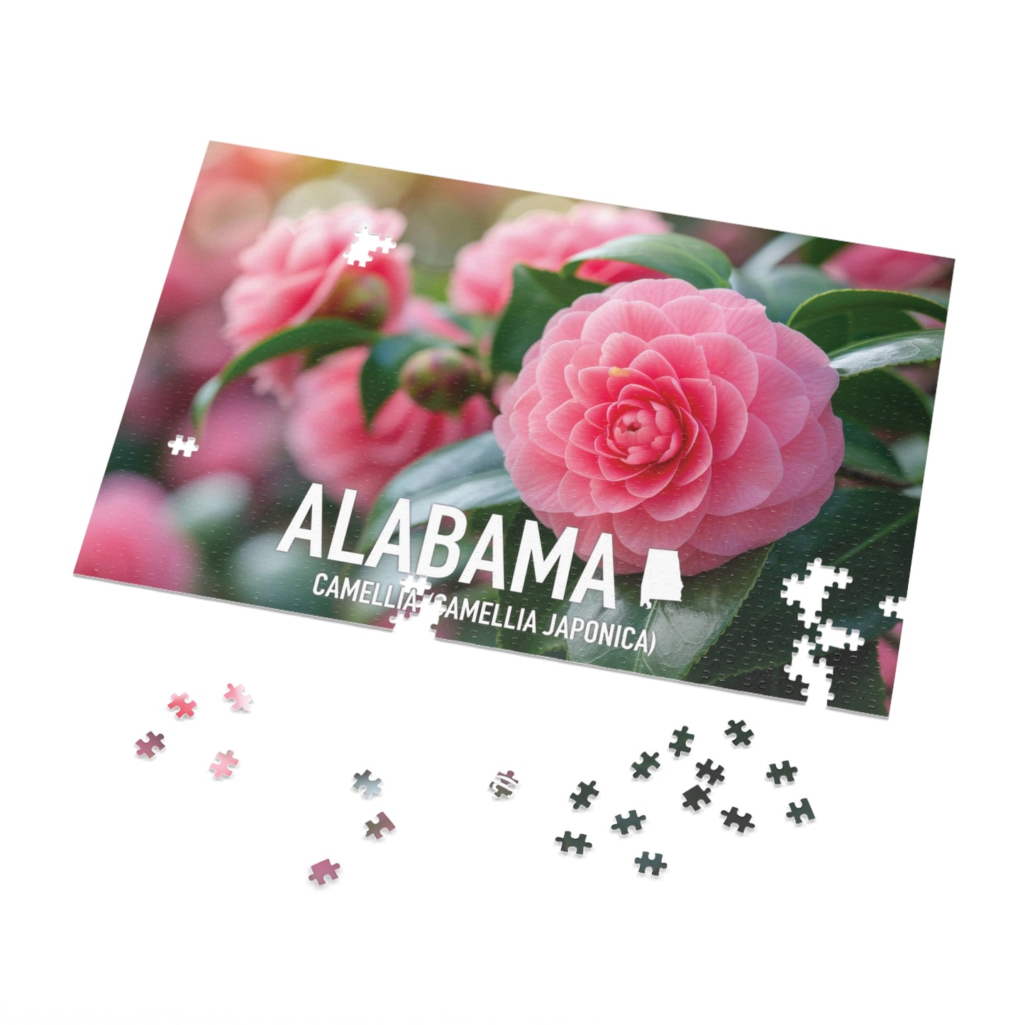 Vibrant Alabama State Flower Camellia Jigsaw Puzzle Set - 110 to 1000 pcs, Metal Box