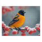 Baltimore Oriole Winter Puzzle Set - Vivid 110-1000 Piece Jigsaw Collection, Metal Box