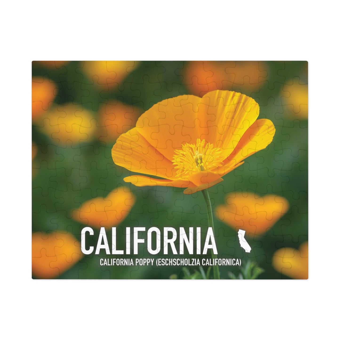 California State Flower Poppy Jigsaw Puzzle, 110-1000 pcs, Vibrant Metal Box Set