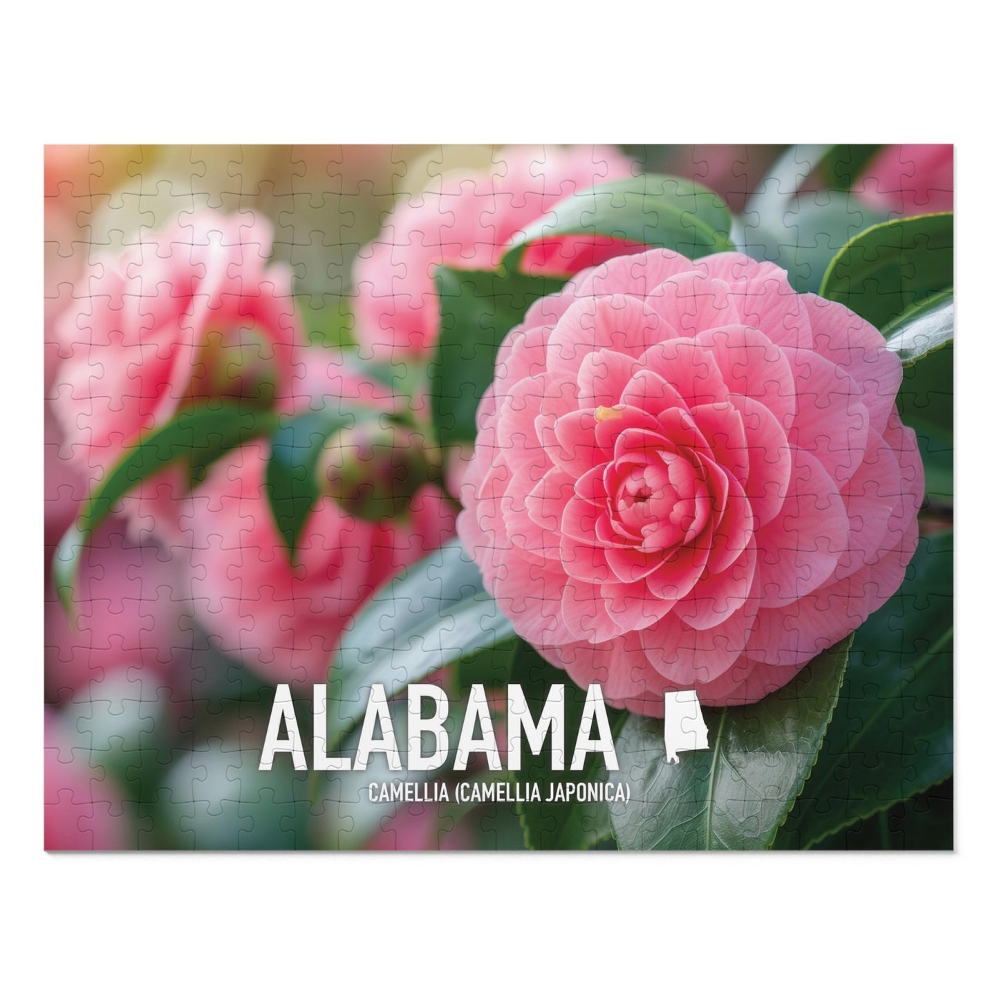 Vibrant Alabama State Flower Camellia Jigsaw Puzzle Set - 110 to 1000 pcs, Metal Box