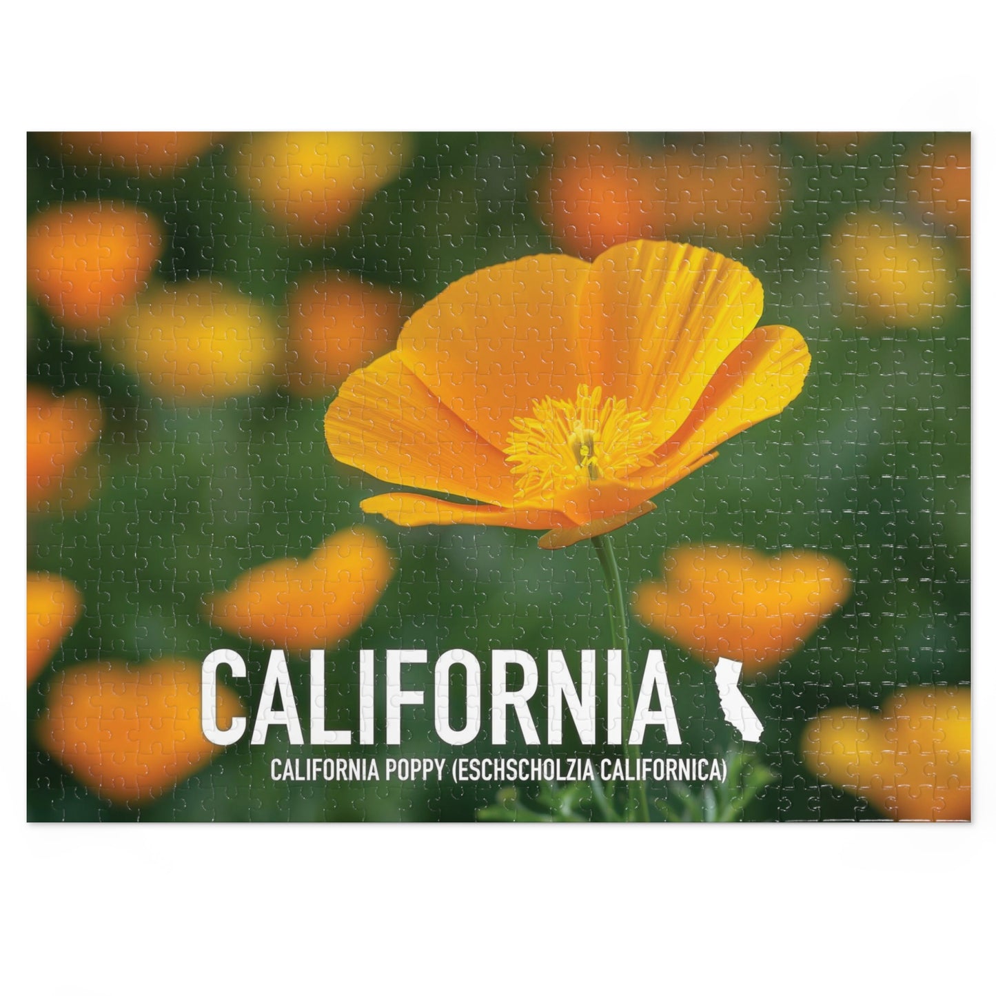 California State Flower Poppy Jigsaw Puzzle, 110-1000 pcs, Vibrant Metal Box Set