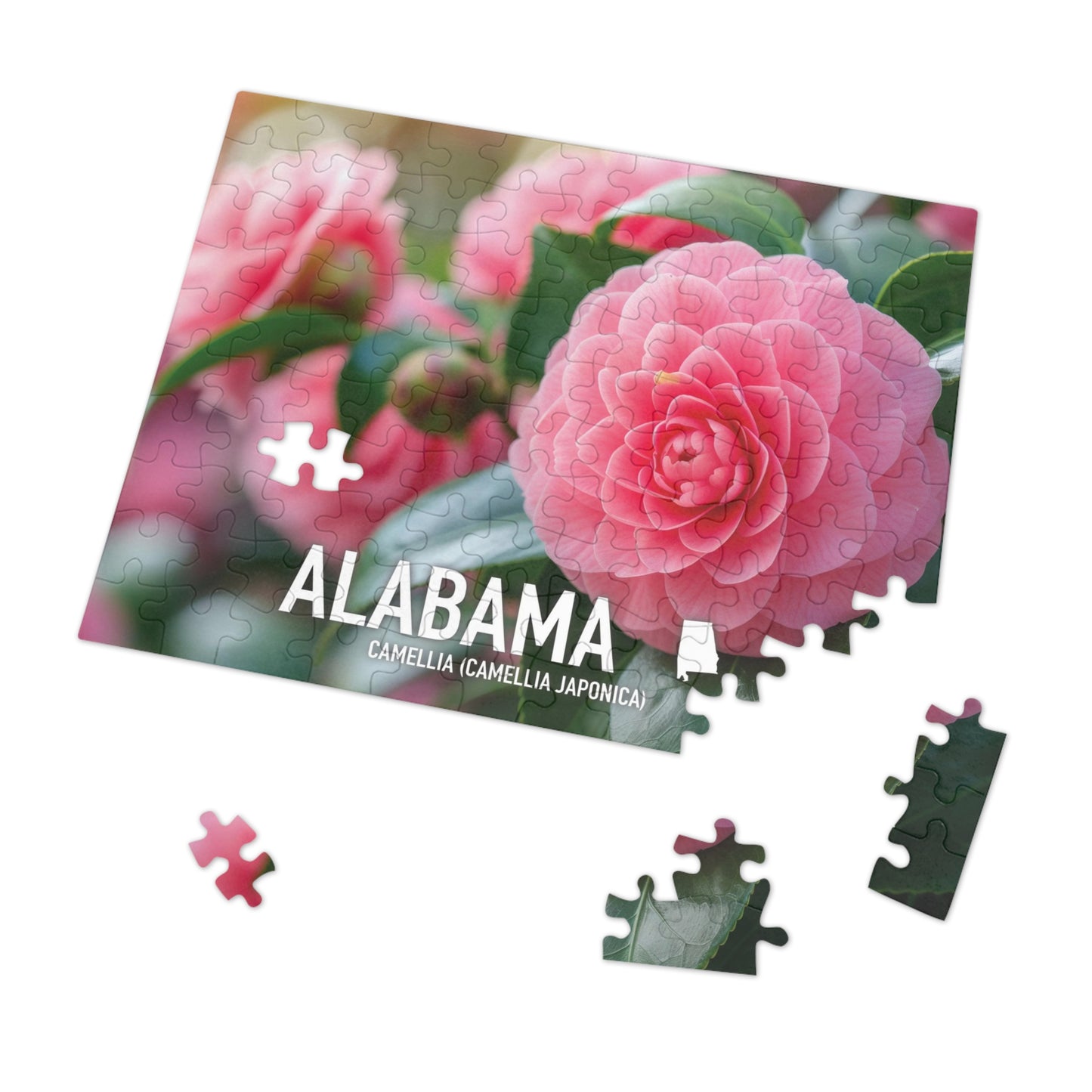 Vibrant Alabama State Flower Camellia Jigsaw Puzzle Set - 110 to 1000 pcs, Metal Box