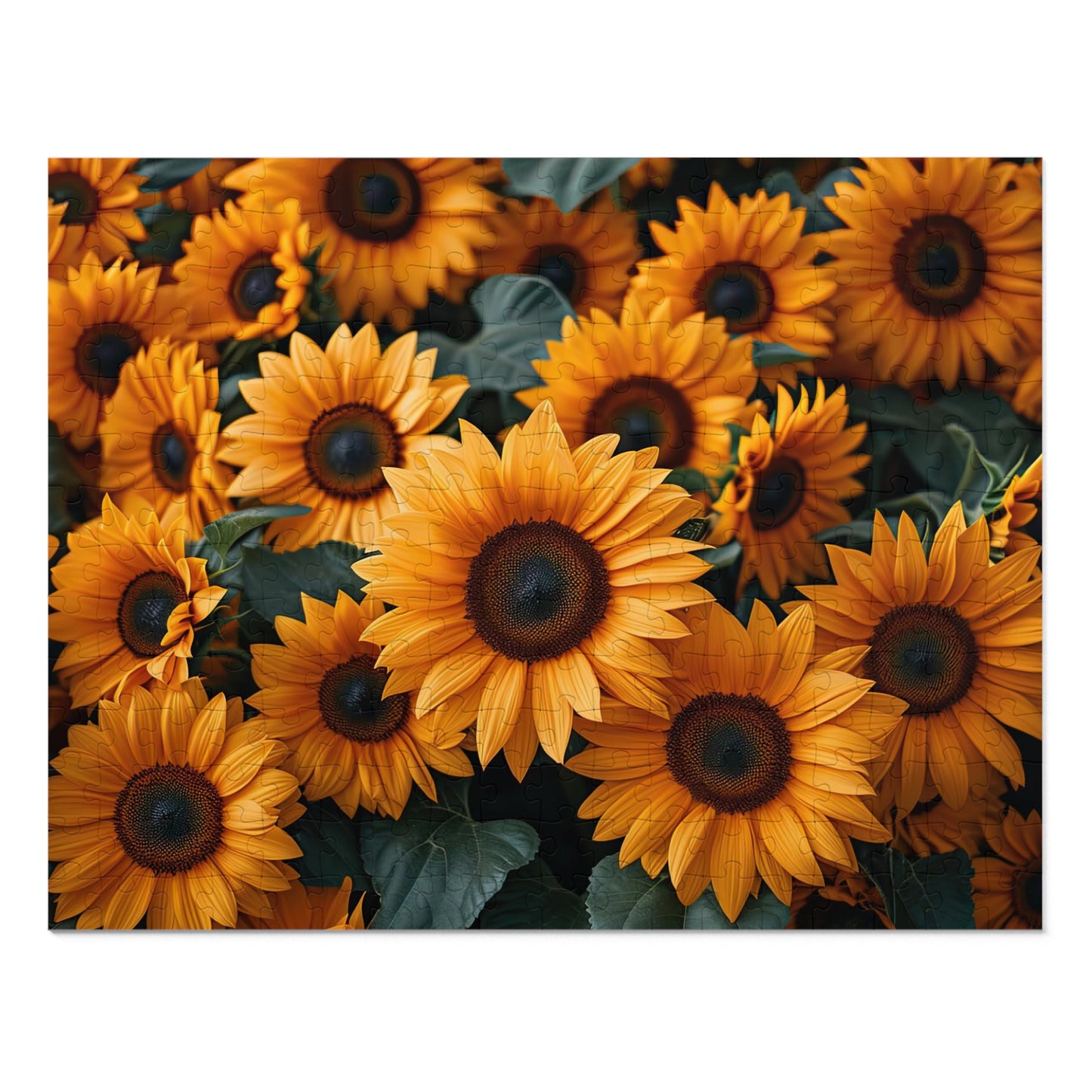 Sunflower Field Puzzle - Bright 110-1000 Piece Sets for Nature Lovers & Puzzle Fans! Metal Box