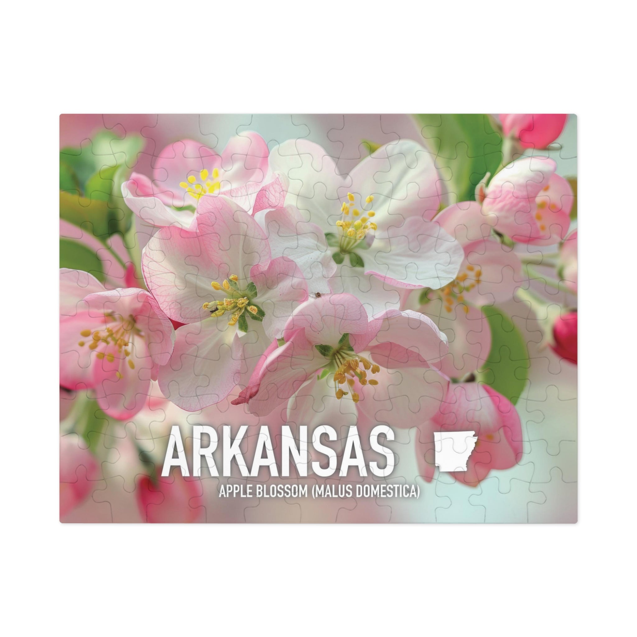 Arkansas State Flower Apple Blossom Puzzle Collection - 110
