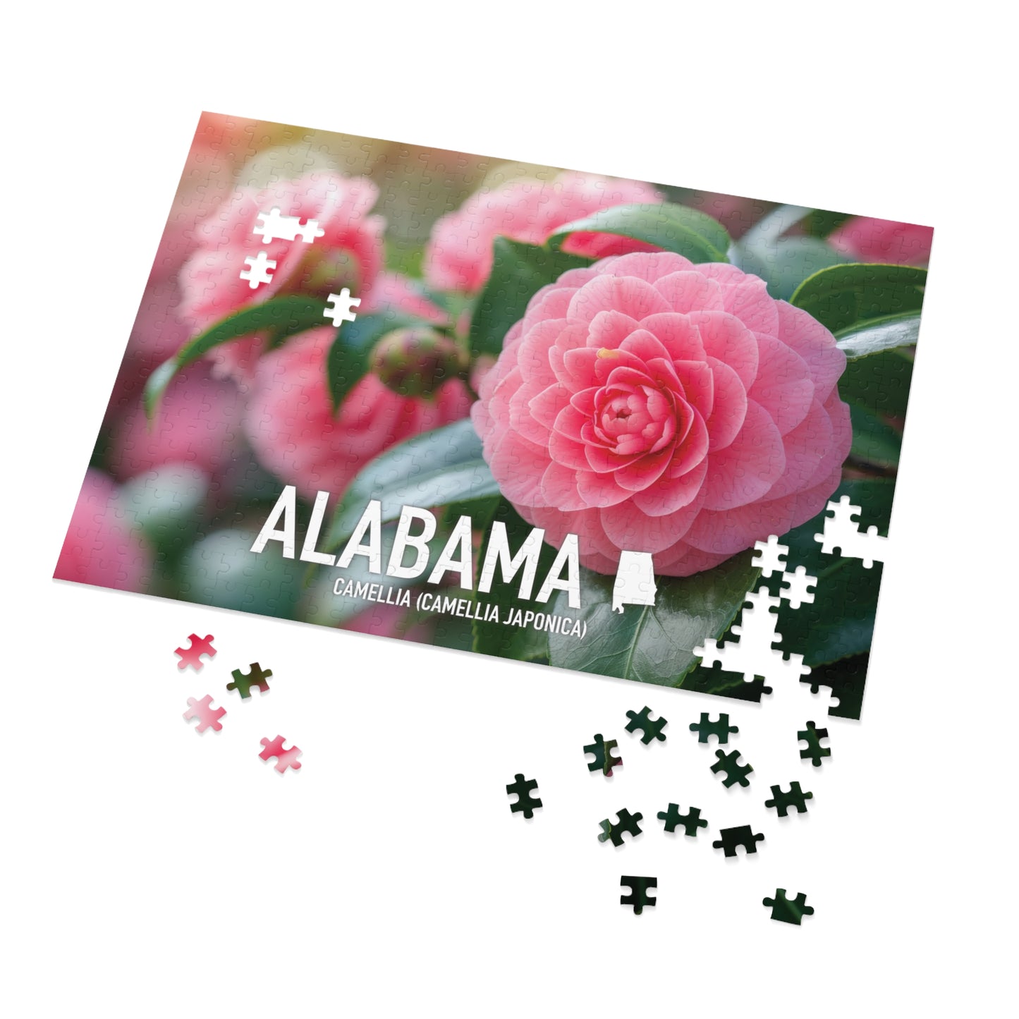 Vibrant Alabama State Flower Camellia Jigsaw Puzzle Set - 110 to 1000 pcs, Metal Box