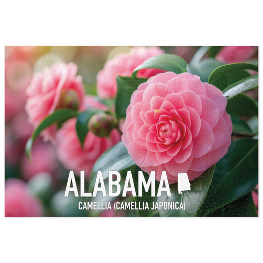 Vibrant Alabama State Flower Camellia Jigsaw Puzzle Set - 110 to 1000 pcs, Metal Box