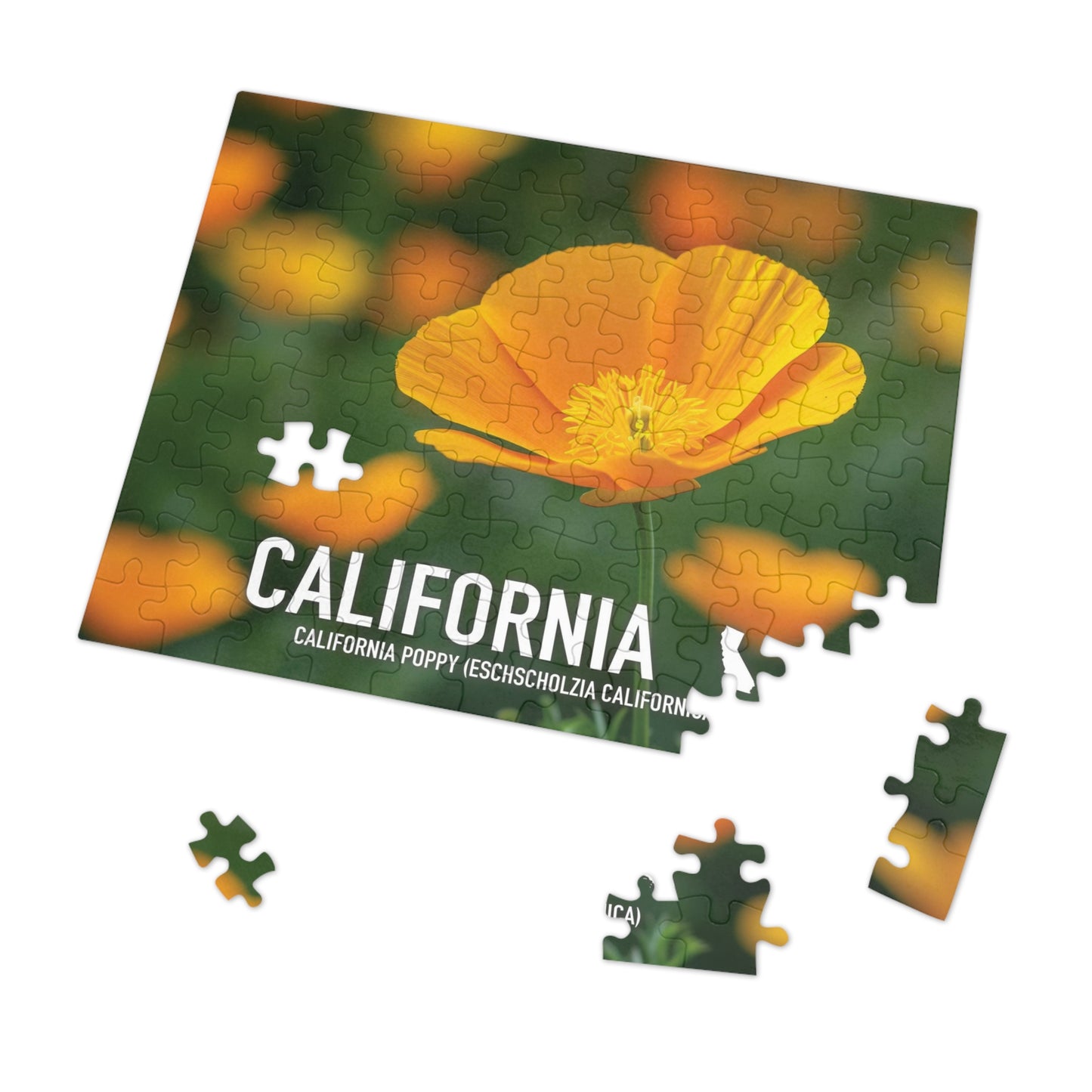 California State Flower Poppy Jigsaw Puzzle, 110-1000 pcs, Vibrant Metal Box Set