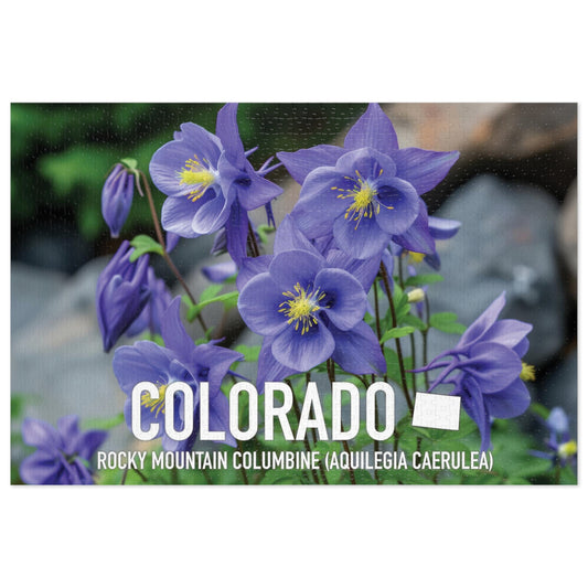 Colorado State Flower Columbine Jigsaw, 110-1000pc Puzzles, Nature-Themed Metal Box