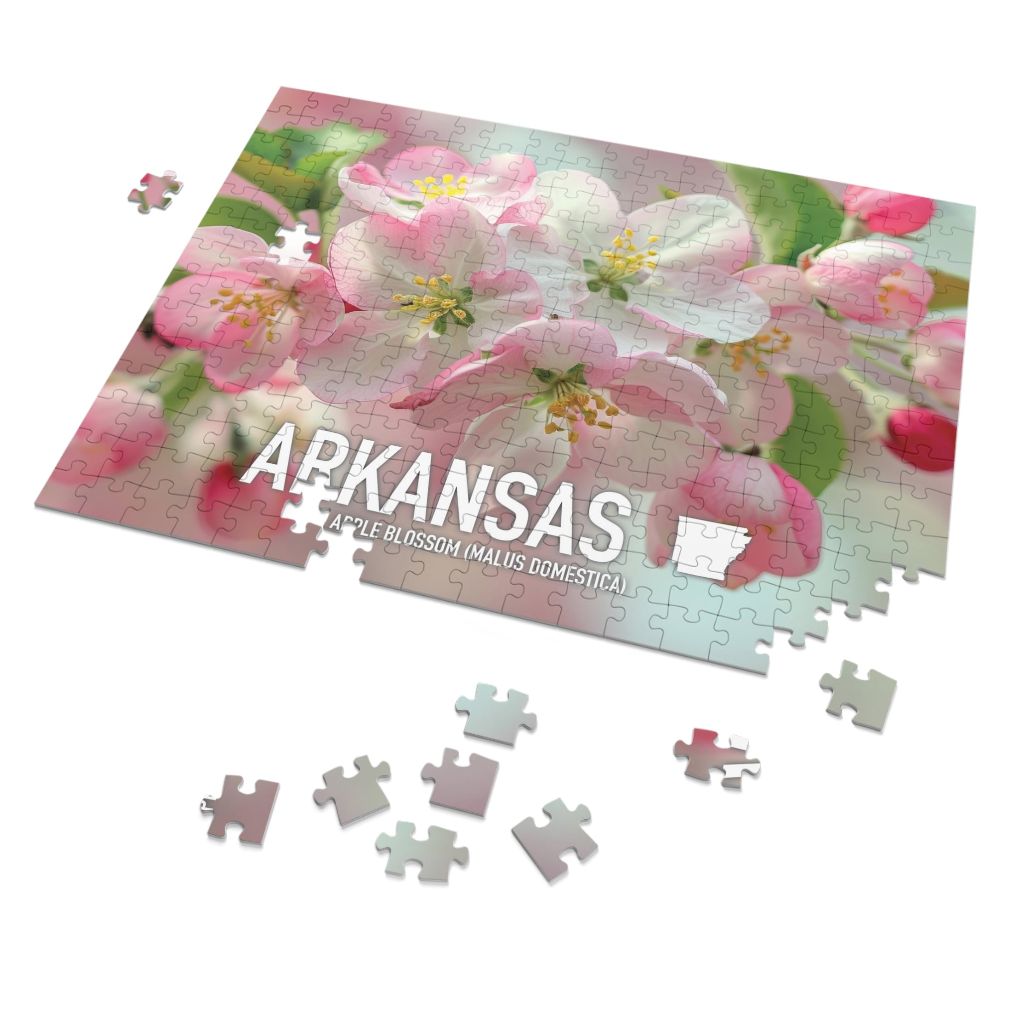 Arkansas State Flower Apple Blossom Puzzle Collection - 110-1000