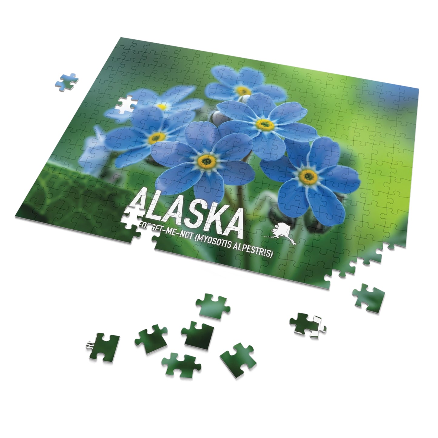 State Flower of Alaska Forget-Me-Not Jigsaw Puzzle Collection - 110 to 1000 Pieces! Metal Box