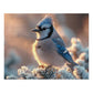 Winter Blue Jay Puzzle - 110-1000 Piece Jigsaws of Snowy Bird Elegance, Metal Box